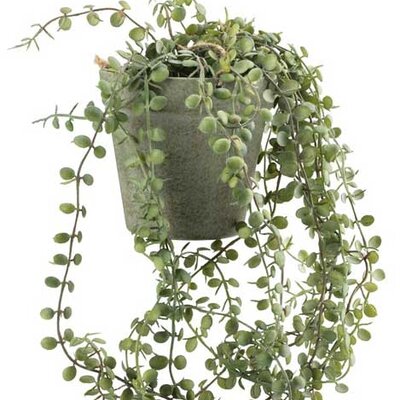 Veštačka lozica Biljka sa saksijom