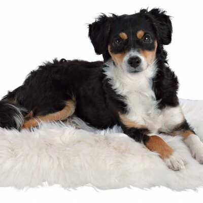 Jastuk prostirka za psa od ovčjeg krzna Trixie 2851