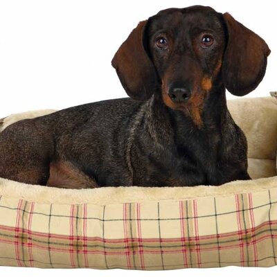 2 u 1 Krevet i jastuk za pse Trixie Relax 2855