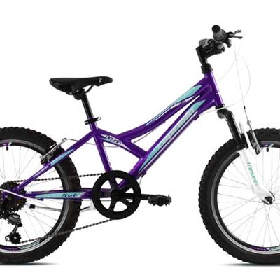 Dečiji bicikl Capriolo Diavolo 200 FS 920297-11