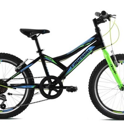 Dečiji bicikl Capriolo Diavolo 200 920290-11