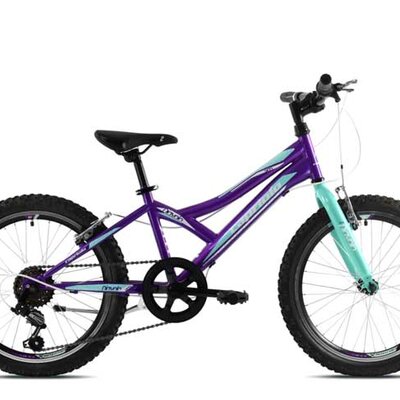 Dečiji bicikl Capriolo Diavolo 200 920293-11