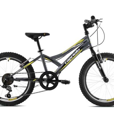 Dečiji bicikl Capriolo Diavolo 200 920291-11