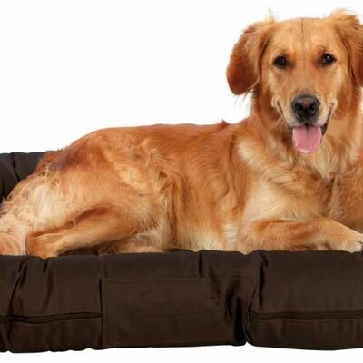 Jastuk - ležaljka za velike pse Trixie Samoa Sky 100cm 28357