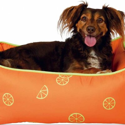 Krevet za pse malih rasa ili mačke Trixie Fruits 37367