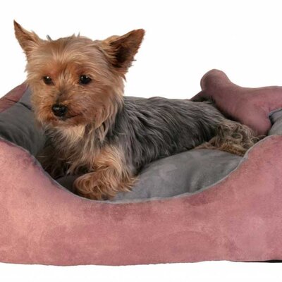 Ležaljka za mačke i male pse Trixie Chippy 37491