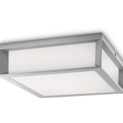 Skies spoljašnja plafonska svetiljka siva