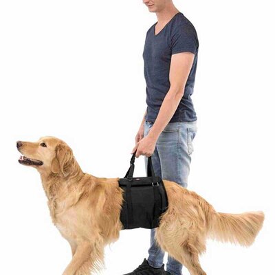 Pojas za stomak za pse veličina L (65-80cm) Trixie 19402