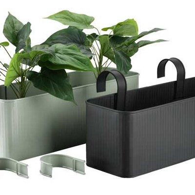 Balkonska saksija Berize Assorted