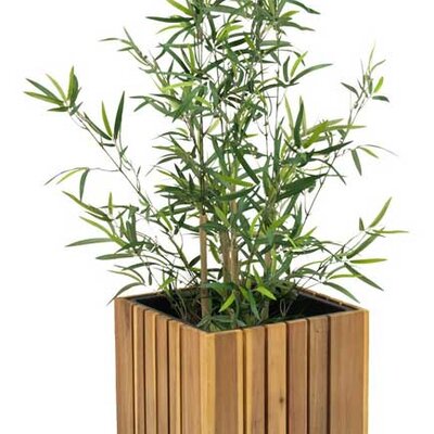 Saksija za cveće Myrselle