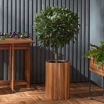 Saksija Garden planter 34x50