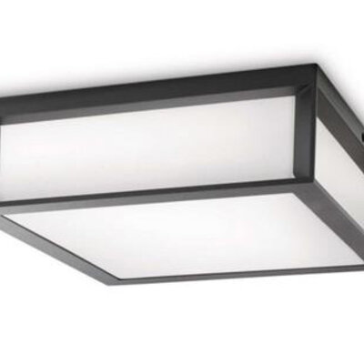 Philips Skies spoljašnja plafonska svetiljka antracit 2x14W 