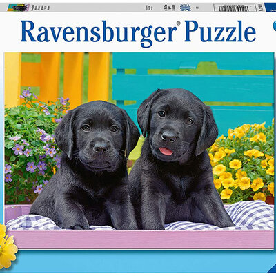 Ravensburger Puzzle 300 delova - Štenci labradora 12950