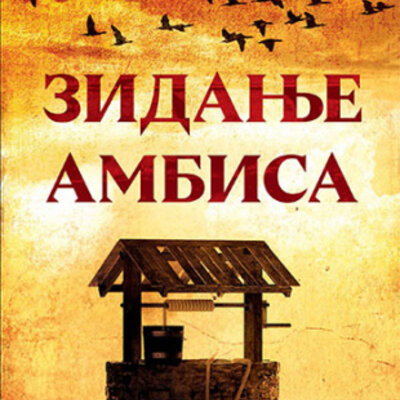 Zidanje ambisa - Branislav Janković