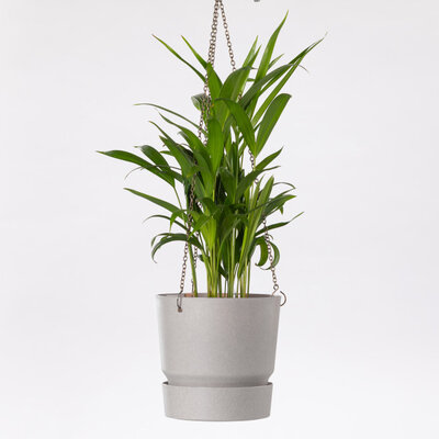 Tara viseća saksija 22cm siva