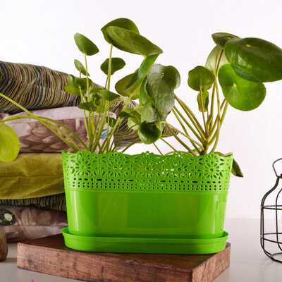 Žardinjera sa tacnom Vista svetlo zelena