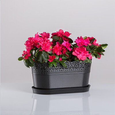 Žardinjera sa tacnom Vista crna