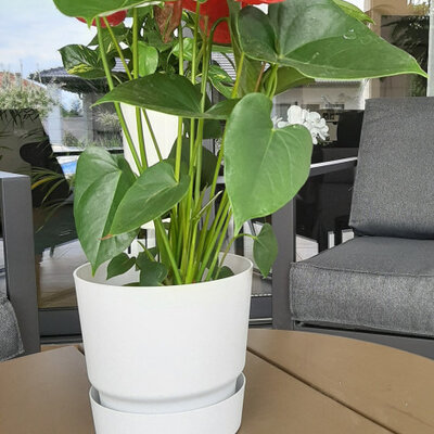 Tara saksija 17cm mermerno bela