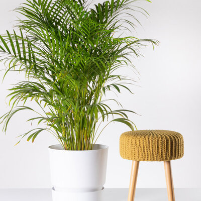 Tara saksija 22cm mermerno bela