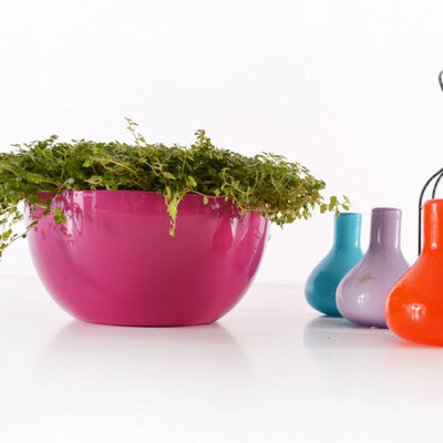 Čeri plus saksija 18cm roze