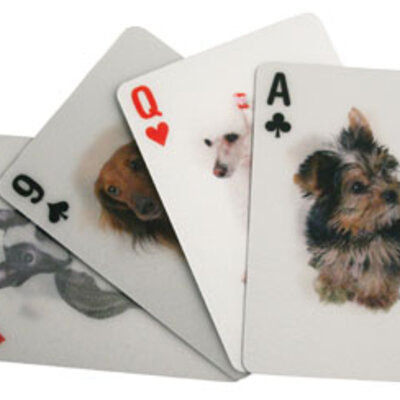 Kikkerland 3D karte Psi GG40