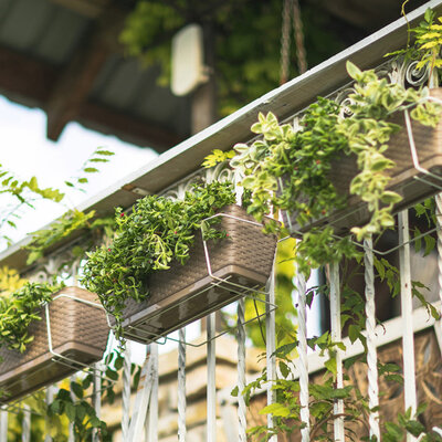 10 žardinjera sa 10 žica - braon boja