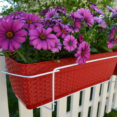 10 žardinjera sa 10 žica - crvena boja