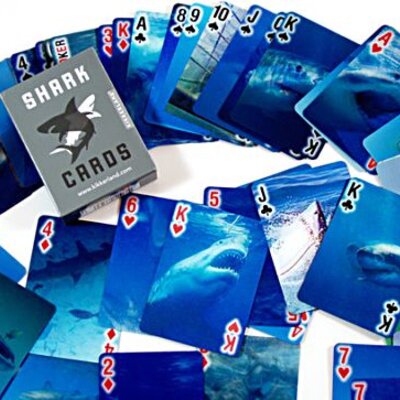 Kikkerland 3D karte Ajkule GG46