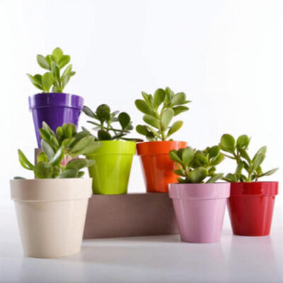 Crystal Plus saksija 14cm krem