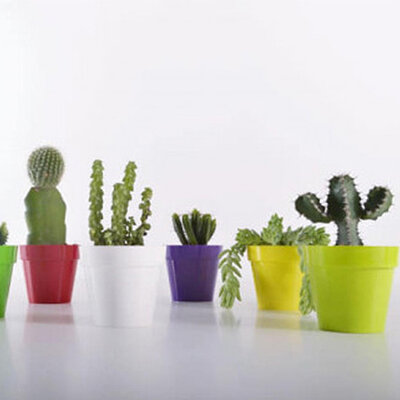 Crystal Plus saksija 14cm  ljubičasta