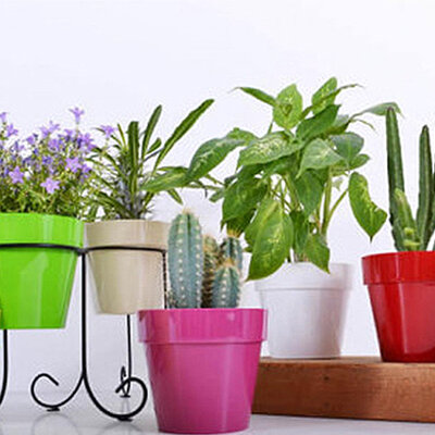 Crystal Plus saksija 14cm zelena