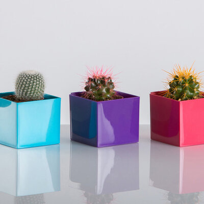 Magnetna saksija Cube 6x6 cm tirkizna