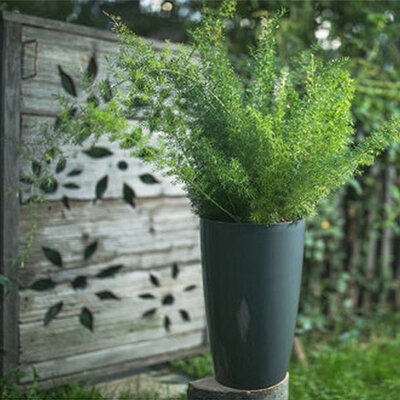 Saksija sa sistemom za zalivanje Diva 20 okrugla siva