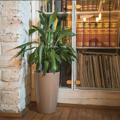 Saksija sa sistemom za zalivanje Diva 20 okrugla bež