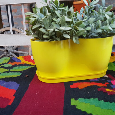 Saksija Herbs 14 cm žuta