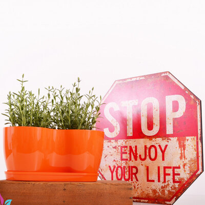 Saksija Herbs 14 cm narandžasta