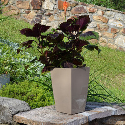 Saksija sa sistemom za zalivanje Diva 20x20 četvrtasta bež