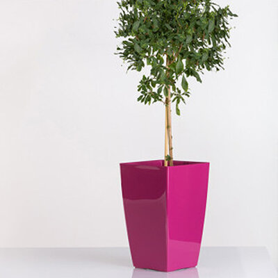 Saksija sa sistemom za zalivanje Diva 20x20 četvrtasta roze