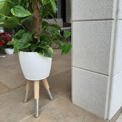 Drveni stalak sa belom saksijom otvora 20 cm