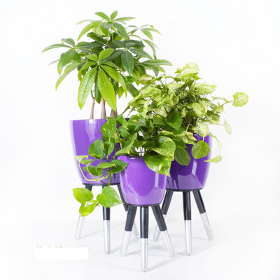 Drveni srebrno-crni stalak sa ljubičastom saksijom 30cm