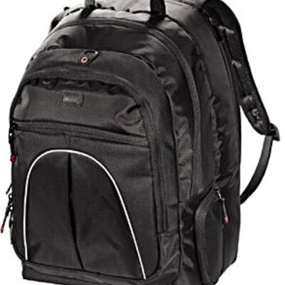 Hama torba za notebook Vienna M 17 23739