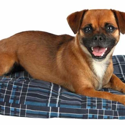 Jastuk za pse Trixie Scoopy 77cm 37225