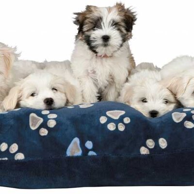 Trixie Jastuk - krevet za pse Jimmy Blue 80cm 37337