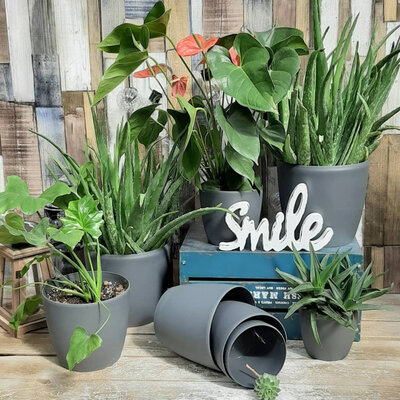 Komplet saksija u mat sivoj boji 8 komada