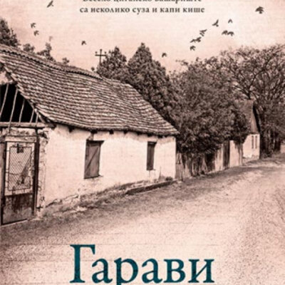 Garavi sokak - Miroslav Antić