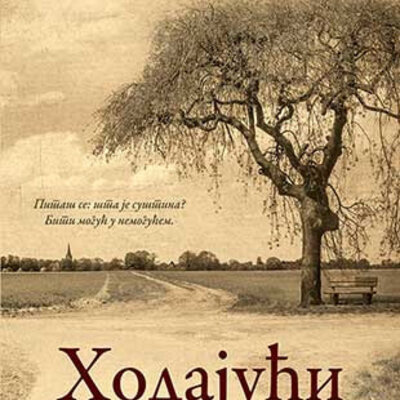 Hodajući na rukama - Miroslav Antić