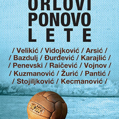 Orlovi ponovo lete - Grupa autora