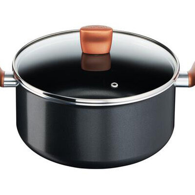 Tefal lonac Express sa poklopcem 24 cm - B2554602